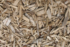 biomass boilers Swalecliffe
